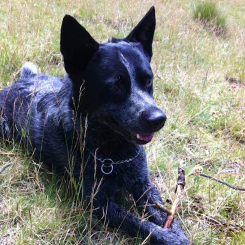 Meet your Posher, Armando